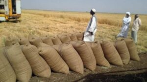 موجز سياسات: حول التنظيمات المحلية وهياكل التمويل الدولي (التعاونيات نموذجًا)